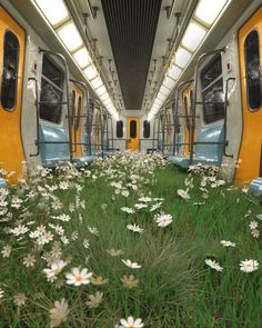 the interior of a subway train with flowers in the foreground and two trains on either side