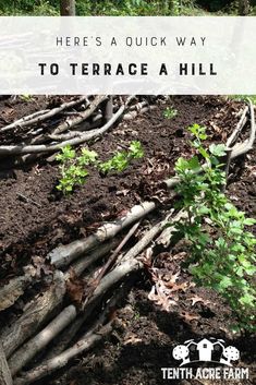 there is a quick way to terrace a hill in the garden and it's easy