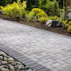 a brick walkway surrounded by plants and rocks