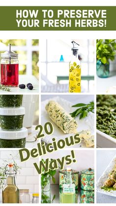 the collage shows different types of fresh herbs and how to preserve your fresh herbs