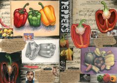 an open book with pictures of peppers and other things on it's pages,