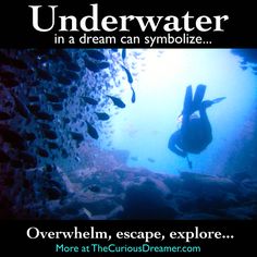 an underwater photo with the words underwater in front of it, and fish swimming below