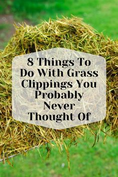 a pile of hay with the words 8 things to do with grass clippings you probably never thought of