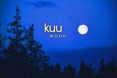 the moon is shining brightly in the night sky over some trees and pine trees with the words kuu moon on it