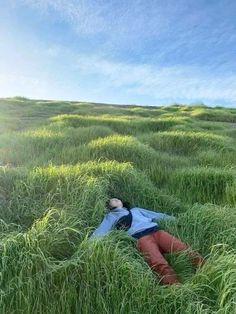 a person laying in the middle of tall grass