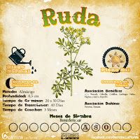 a poster with an image of a plant and the words ruda written in spanish