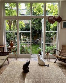 two cats sitting on the floor in front of an open window looking out onto a garden