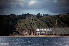 trees line the shore of a body of water under a cloudy sky with dark clouds