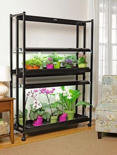 a shelf filled with potted plants next to a chair