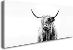 a black and white photo of a long haired cow with horns on it's head