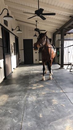 a brown horse standing inside of a building next to a ceiling fan and two windows