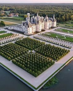 an aerial view of a castle surrounded by trees