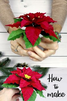 two pictures of poinsettis being held by hands with text overlay that reads how to make poinsettis