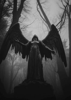 an angel statue in the middle of a forest with trees and fog behind it,