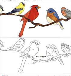 an image of birds on a tree branch with numbers in the bottom right hand corner