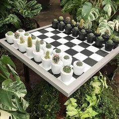 a checkered board with potted plants sitting on it in the middle of a garden