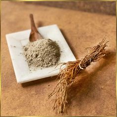 Les incroyables bienfaits du vétiver pour la santé et en beauté Seedling Pots, Types Of Grass, Healthy Seeds, Earthy Fragrance, Pregnant Friends, Medical Advice, Home Remedies, Herbs, Medical