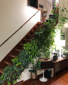 some plants are growing up the side of a stair case next to a wooden table