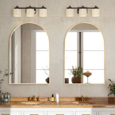 a bathroom with two sinks and mirrors on the wall next to plants in vases