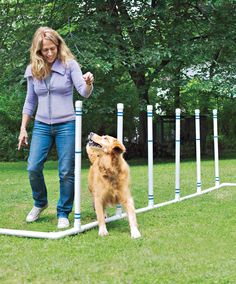 a woman is playing with her dog in the yard while it looks like he's trying to jump over an obstacle