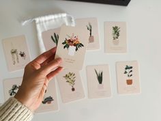 a person holding up a card with flowers on it in front of other cards that have succulents and cacti