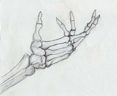 a drawing of a hand with bones on it