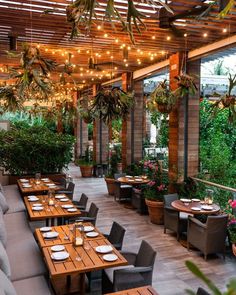 an outdoor dining area with tables and chairs, potted plants on the wall and lights hanging from the ceiling