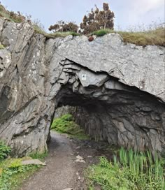 a stone tunnel with grass growing on the top and rocks in the middle that have been carved into it