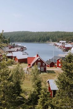 red houses on the shore of a lake surrounded by pine trees and other small boats