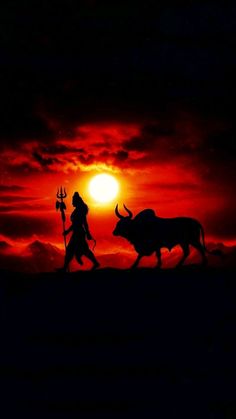 the silhouette of two bulls walking in front of a sunset