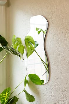 a mirror hanging on the side of a wall next to a potted green plant