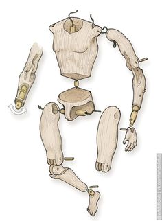 an image of different parts of the human body and their corresponding limbs, including hands, legs, and feet