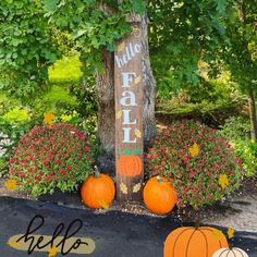 some pumpkins are sitting on the ground in front of a sign that says happy fall