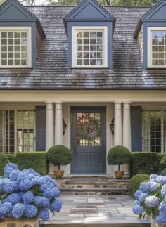 blue hydrangeas are in front of a house