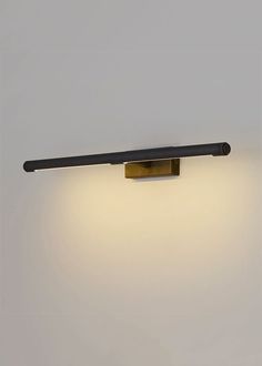 Size: LONG, Color/Finish: WEATHERED BRASS Picture Lights, Modern Pictures, Art Light, Simple Pictures, Task Lighting, Wall Fixtures, Picture Light, Light Art, Polished Brass