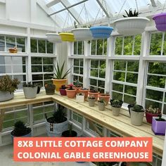 Little Cottage Company Colonial Gable Greenhouse Cottage Colonial, She Shed Greenhouse, Greenhouse Shed Combo, Greenhouse Kits For Sale, Cottage Garden Sheds, Shed With Porch, Shed Cabin, Outdoor Greenhouse, Large Greenhouse