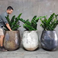 a man standing next to three planters with plants in them on concrete flooring