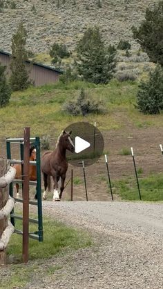 a horse standing next to a wooden fence