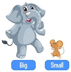 Big And Small Flashcards, Big Small Flashcards, Small Clipart, Taal Posters, Big Illustration, Common Adjectives, List Of Adjectives