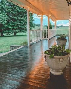 a potted plant on the front porch of a house