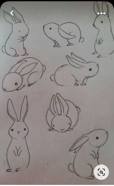 some drawings of rabbits sitting on top of each other