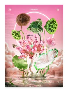 an image of flowers and plants floating in the water