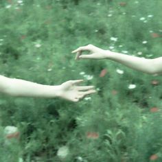 two hands reaching out towards each other in the middle of a field with wildflowers