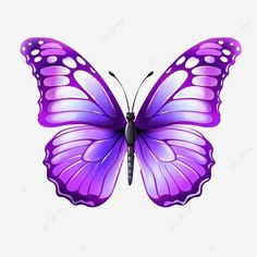 a purple butterfly with white spots on it's wings, flying in the air