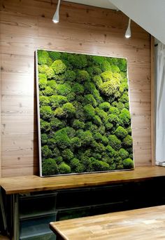 a moss covered wall mounted to the side of a wooden wall next to a table