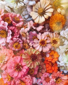 many different colored flowers are arranged together