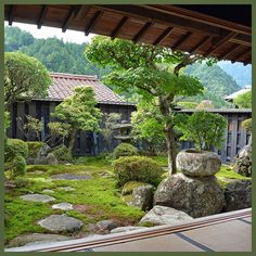 an outdoor garden with rocks and trees