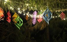 colorful paper lanterns hanging from a tree at night