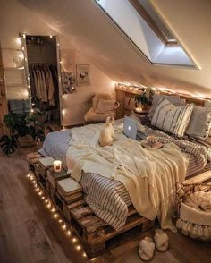 a cat sitting on top of a bed in a room filled with furniture and lights