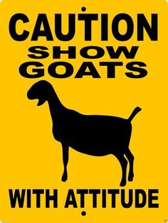 a yellow caution sign that says, caution show goats with attitude